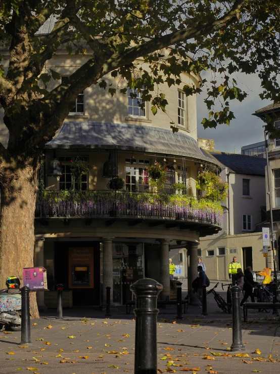 a view of a tree and a store front