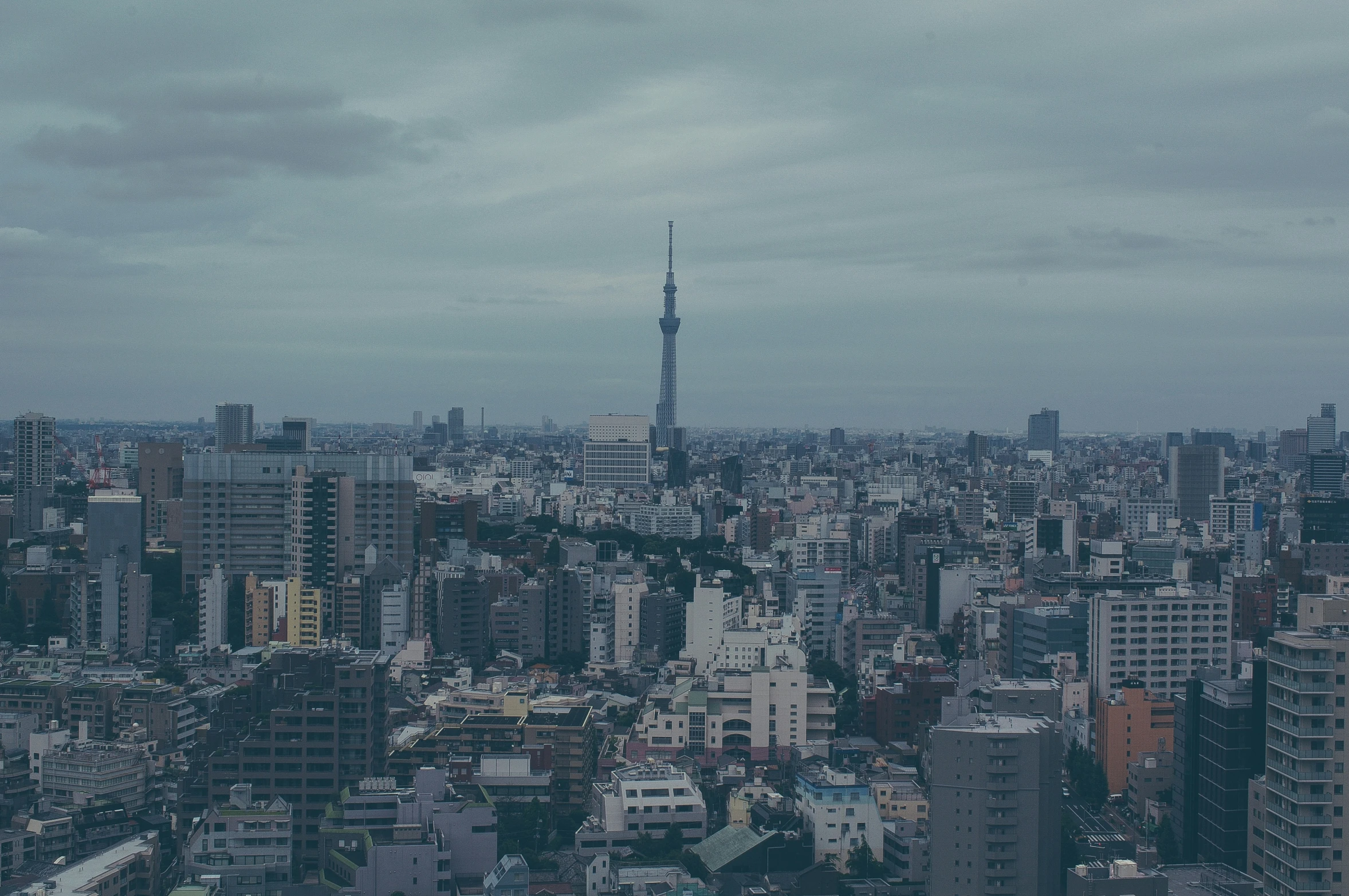 the city skyline from above, looking over a hill