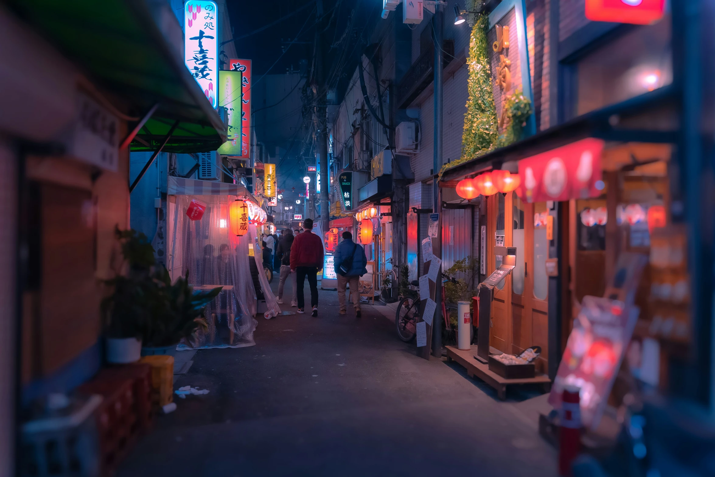 the couple is strolling down the alleyway with a dog