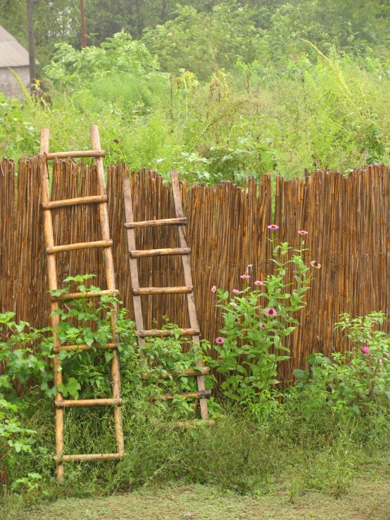 a tall wooden ladder sits in the grass beside a garden with many different types of flowers