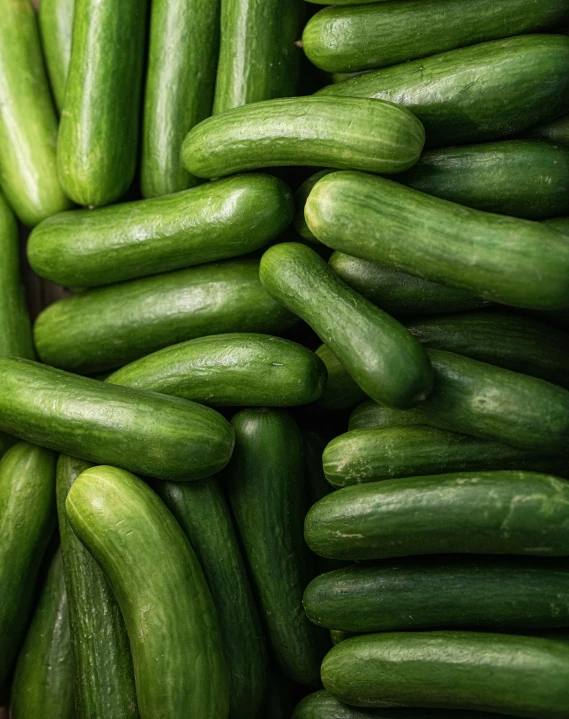 bunches of pickles with a white background