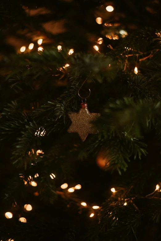 some christmas lights and ornaments hanging from a tree