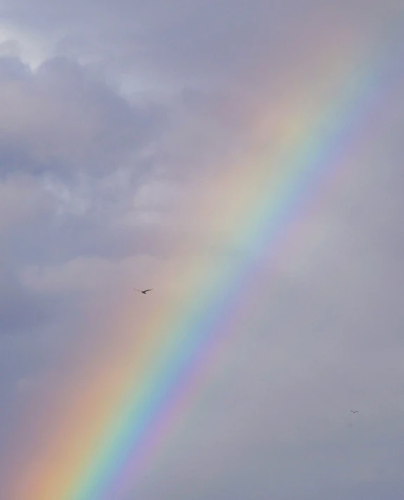 a rainbow, in a cloudy sky, with two birds in the distance