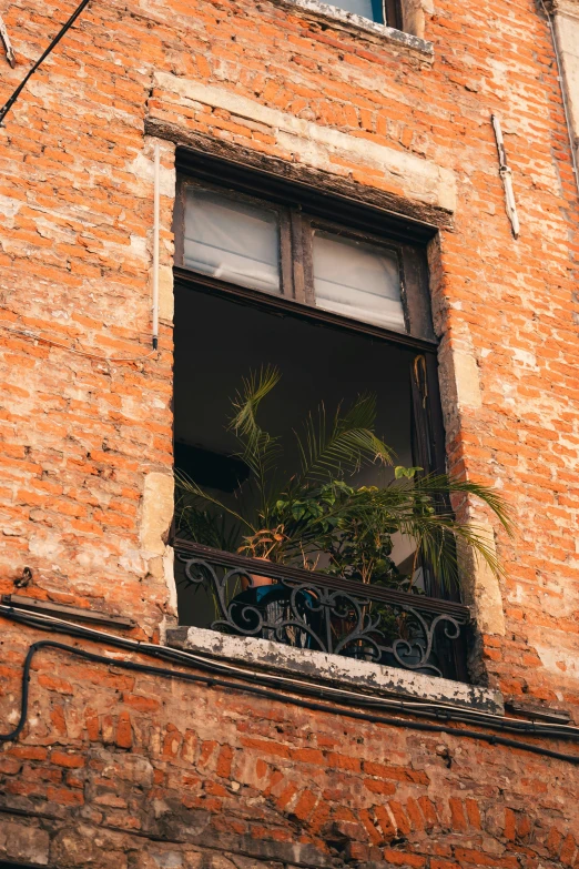 a balcony with bicycles mounted to it and plants behind