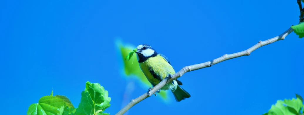 a bright green bird sitting on a nch