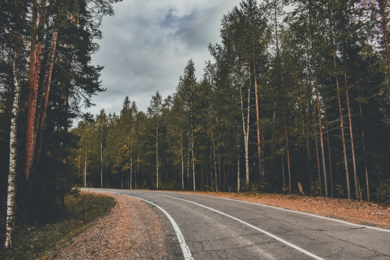 a quiet road in a forest on a cloudy day