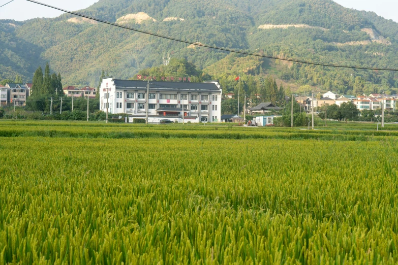 the view of a large building across the green field