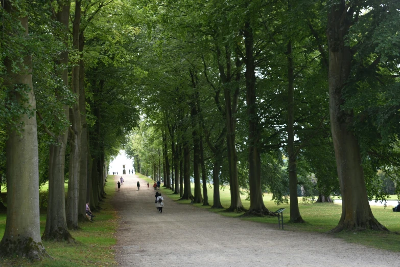 several people and children walk down a long pathway between trees
