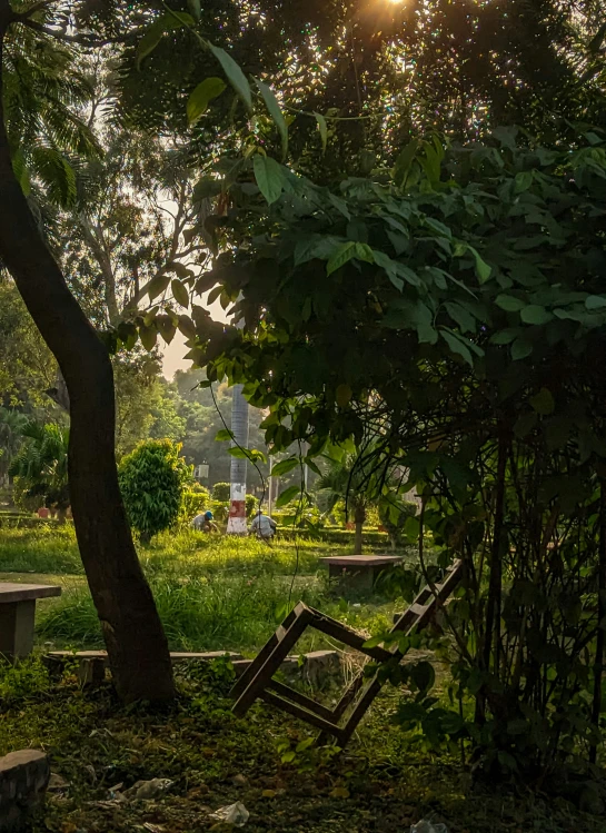 an old wooden bench sitting on the ground under a tree