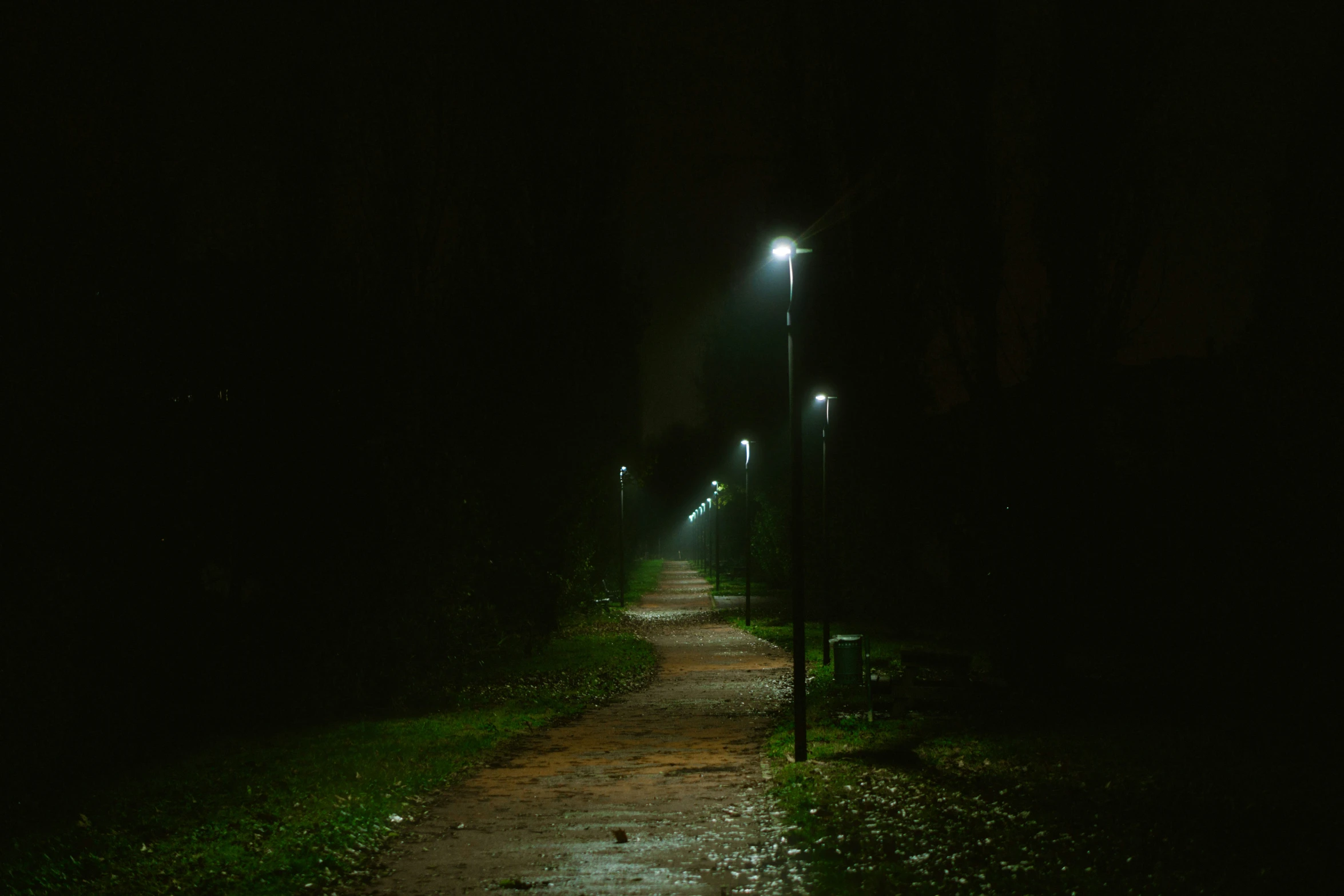 an eerie dark path at night with a stoplight