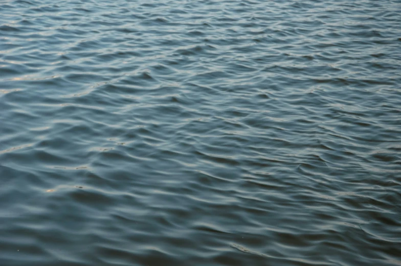 water that looks like it has some waves in it