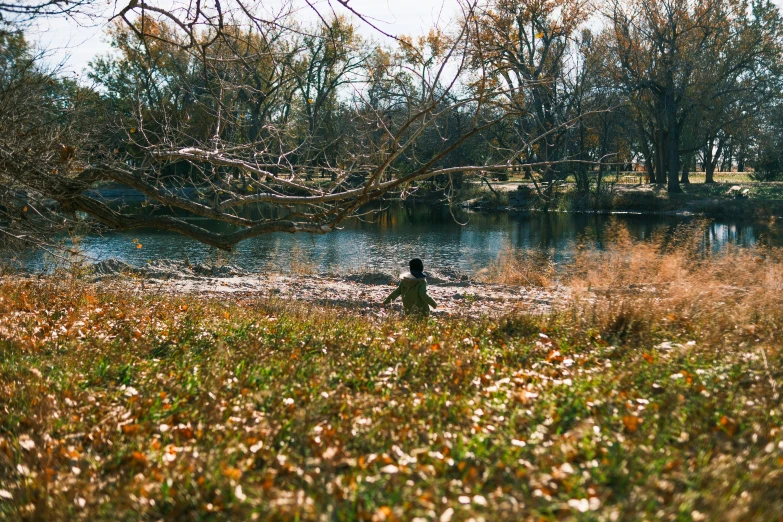 a person sitting on a bench near a body of water