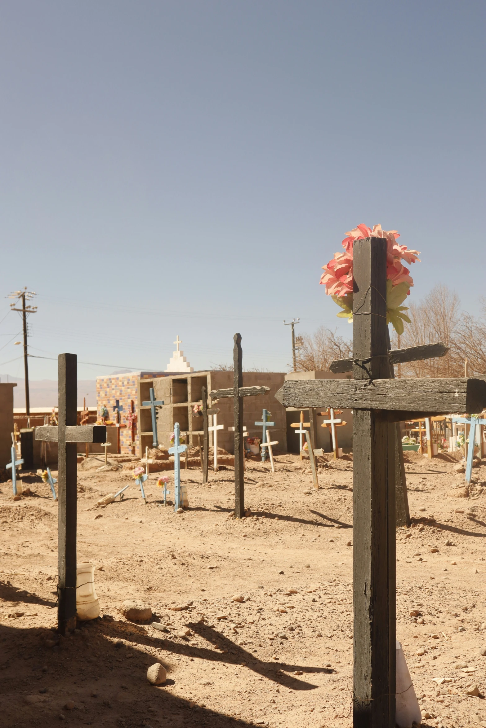 many crosses in an empty field surrounded by buildings