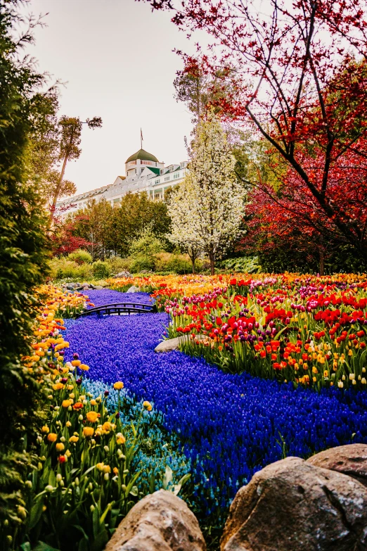 the garden is filled with beautiful flowers and trees