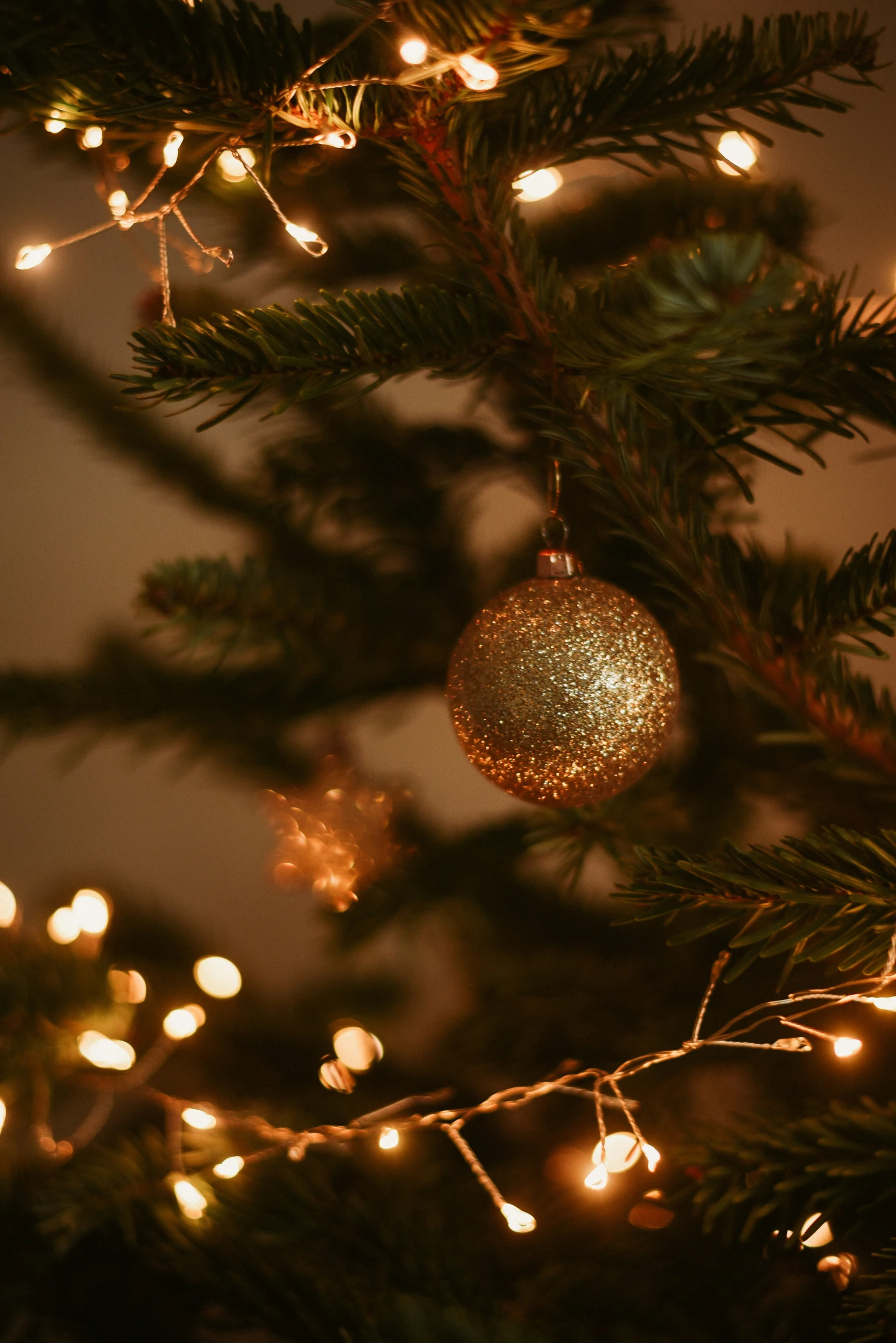 an ornament hanging from a christmas tree