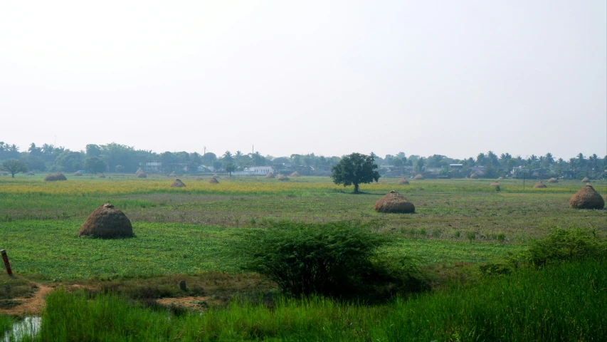 some green grass trees grass bushes and hay bales