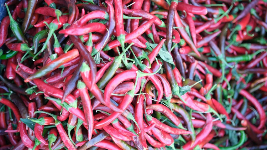 small red peppers in a basket full of green stems