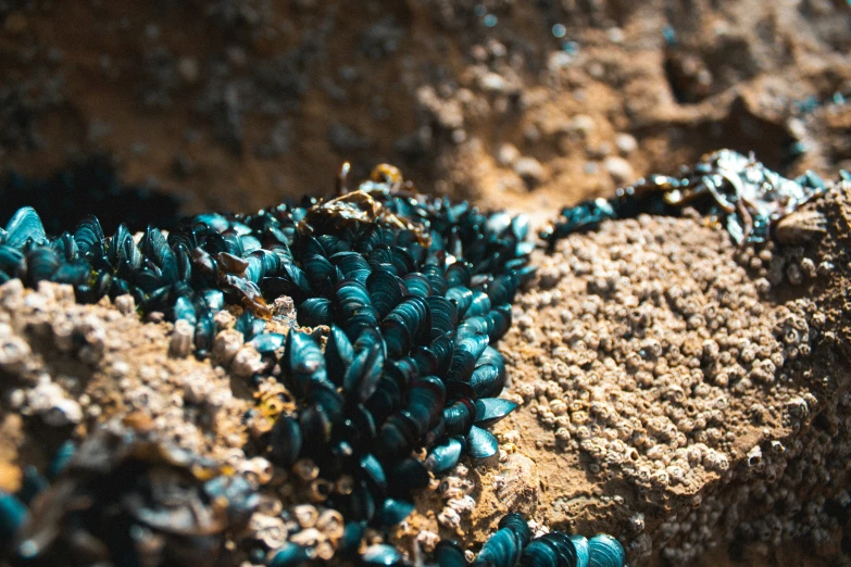 small turquoise beads on a stone surface