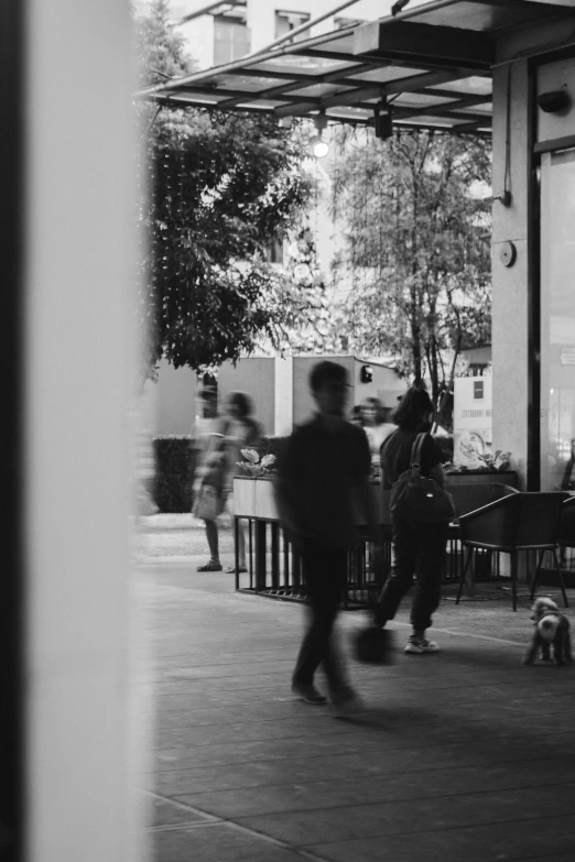 people in a public space with several dog on the floor