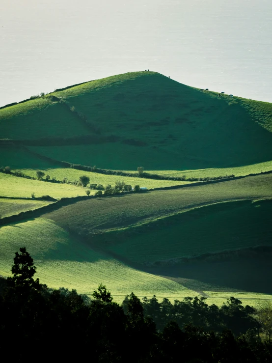 the rolling hills are lit by bright sunlight