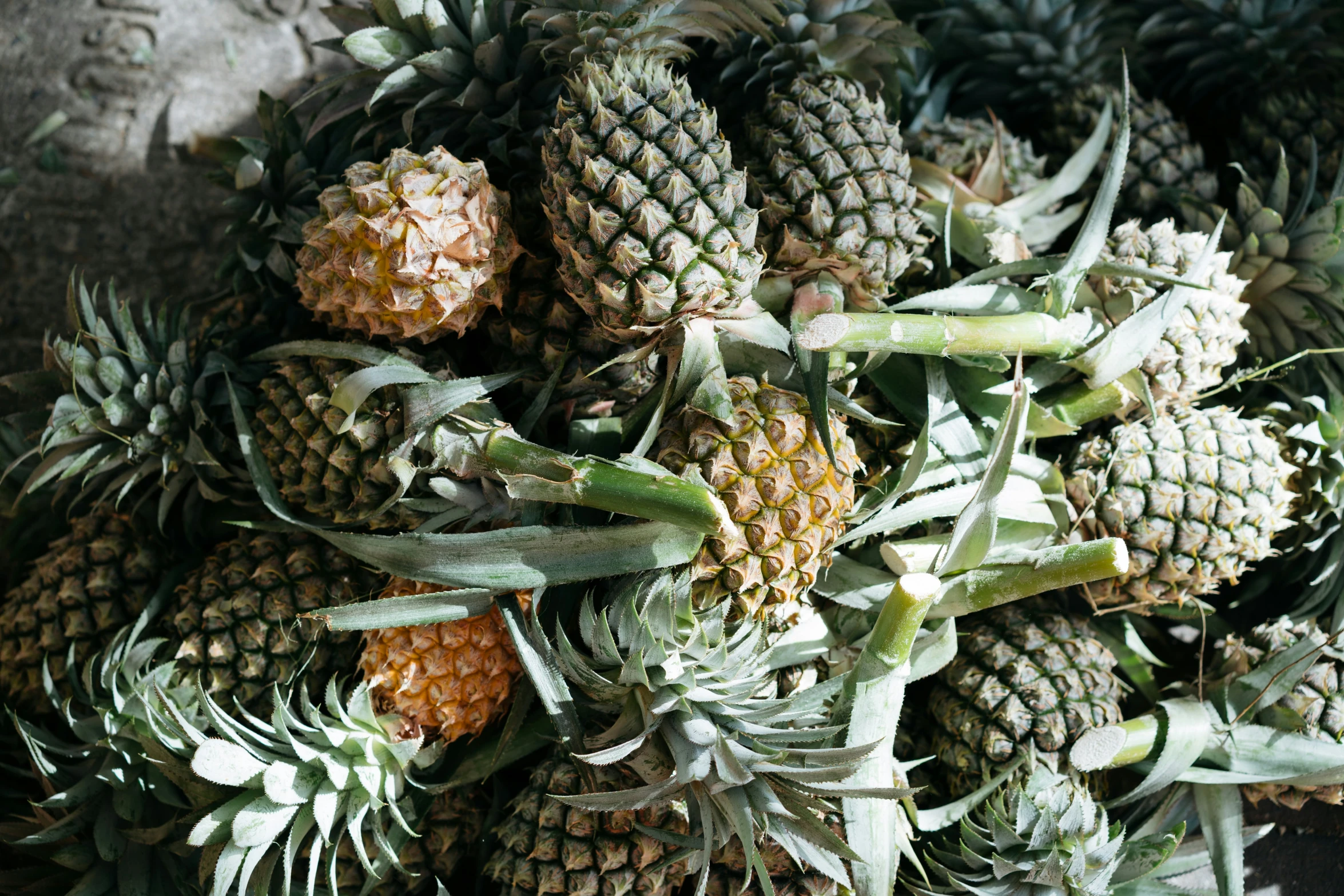 a bunch of pineapples that are on a table