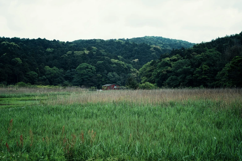 a small house sitting on top of a lush green field