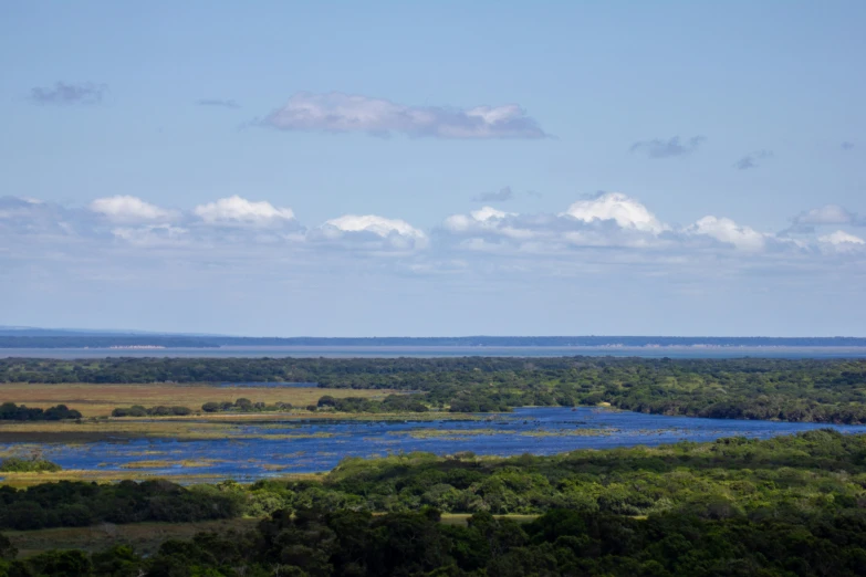 two airplanes are flying over a green plain