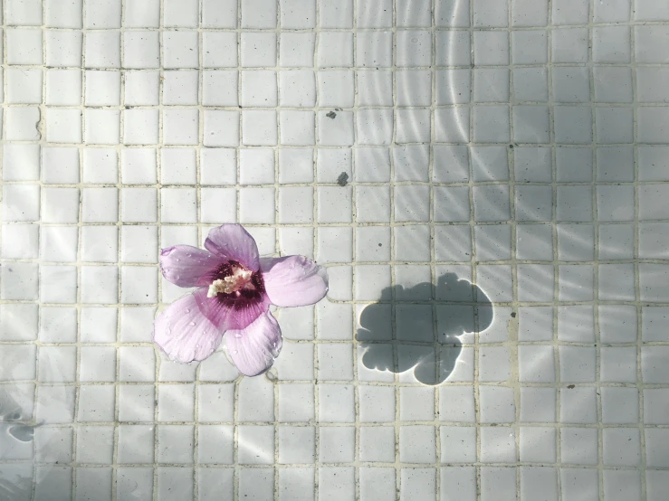 an image of a bath room with tile flooring