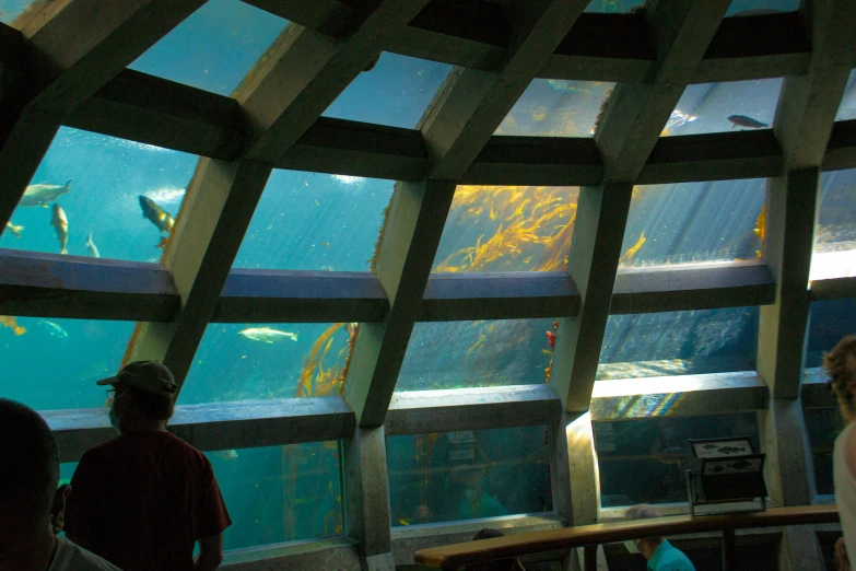 a group of people inside an aquarium looking out at some animals