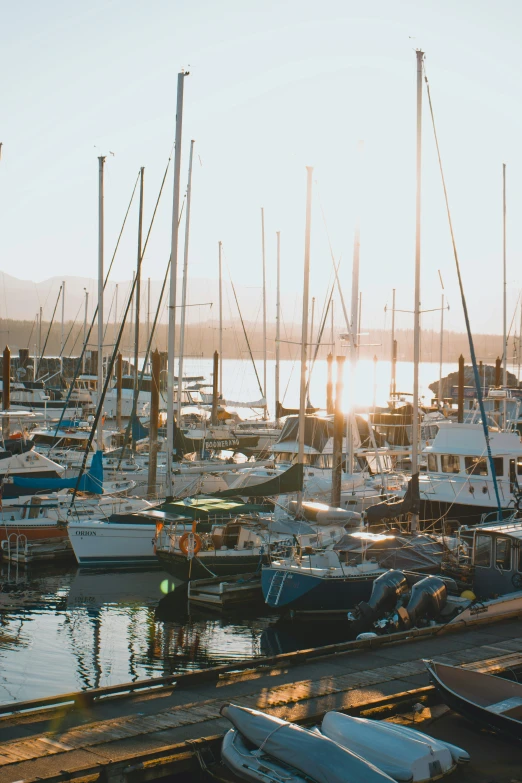 there are many boats in the marina and is sunrise on