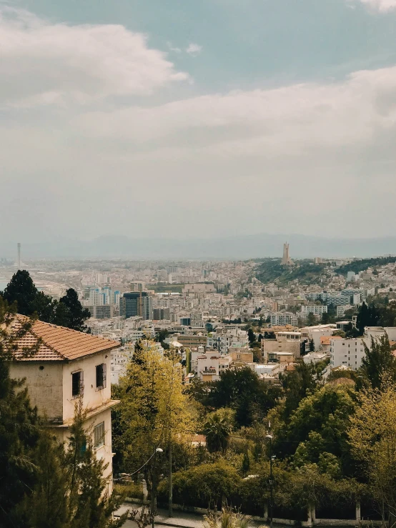 the city of paris sits behind the trees