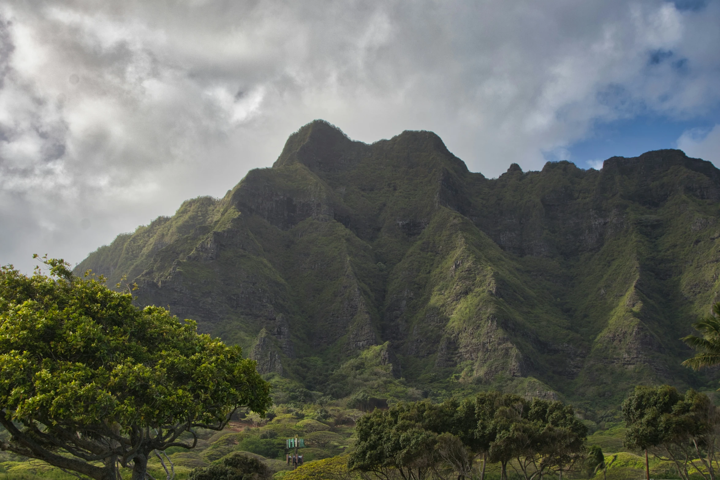 there are two large mountains next to some trees