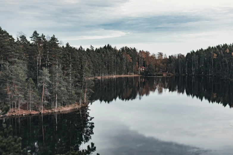 some trees are in the distance in a lake