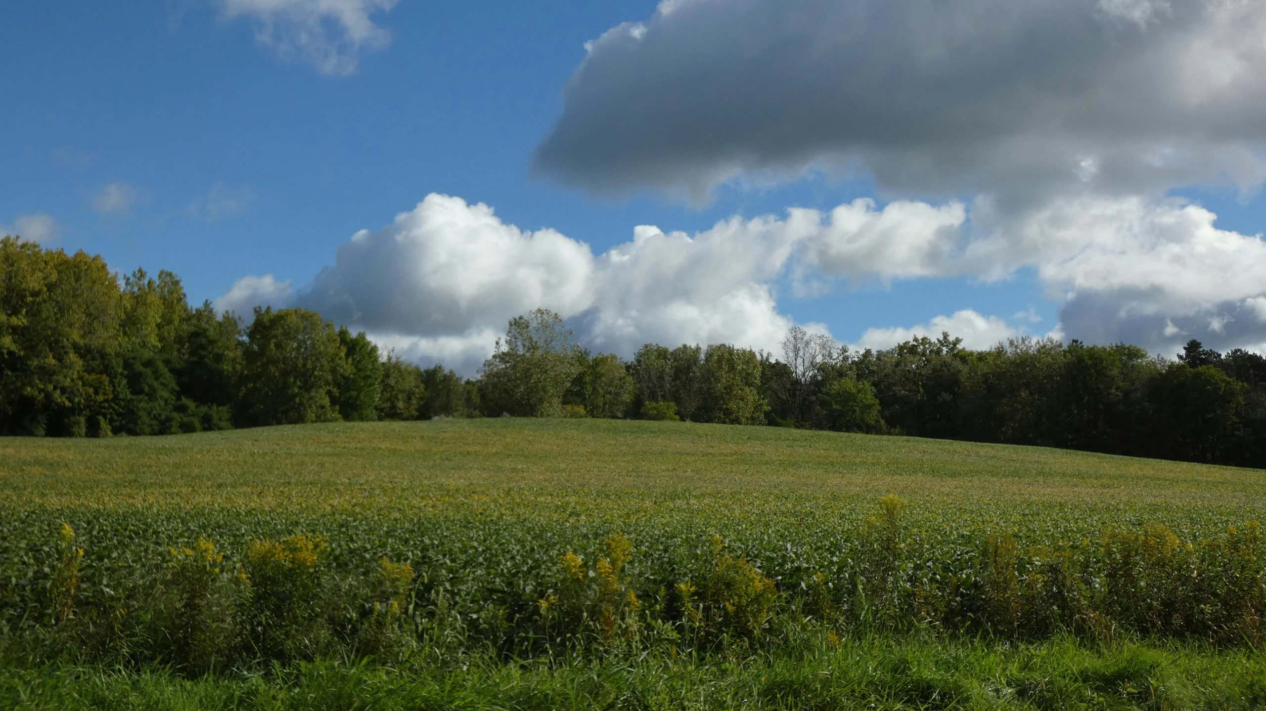 a hill in the middle of a grassy field