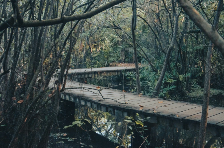 a walkway with a wooden structure in a woods