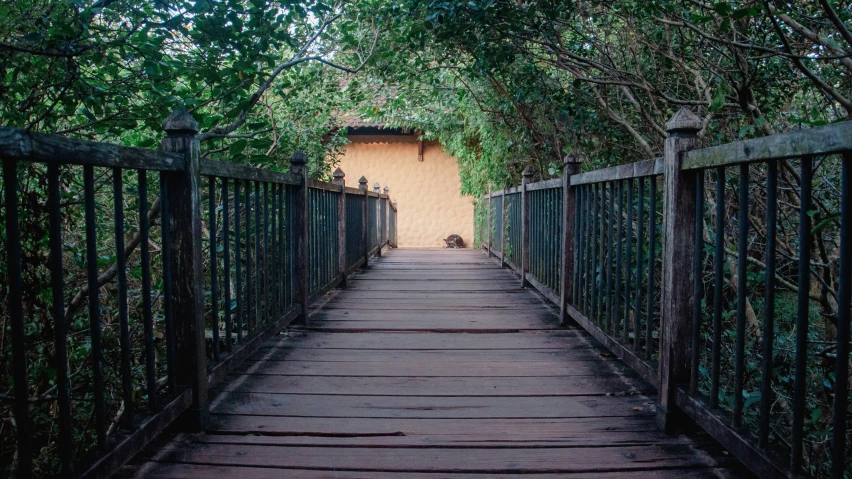 an arched walkway leading through trees into a building