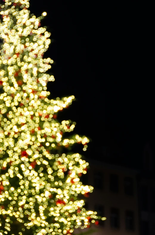 christmas tree with red and green lights against a black sky