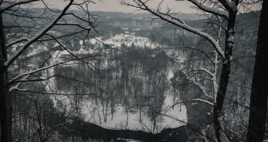 there is a snow covered hillside by the trees