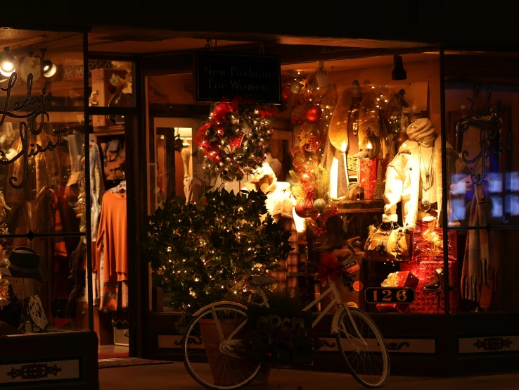 a shop front at christmas with a bicycle in the window