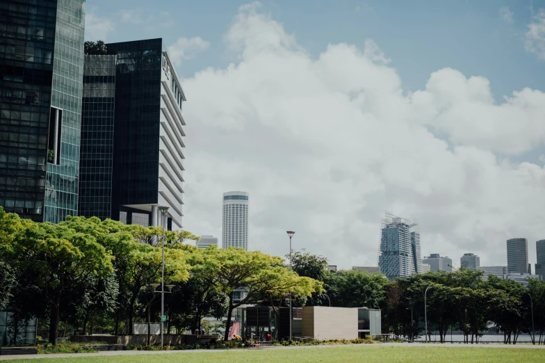 large buildings and trees with sky in background