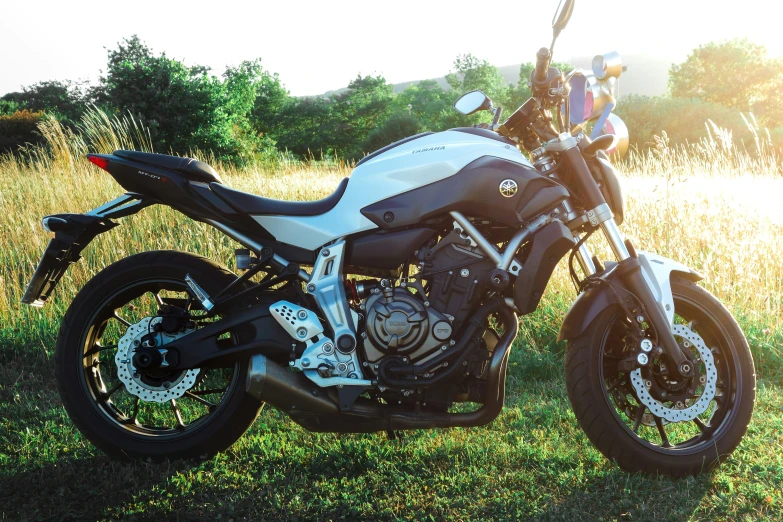 a motorcycle parked on a grass field in the sunshine