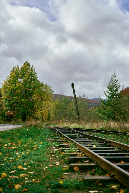 a train track with fallen leaves sitting on the grass