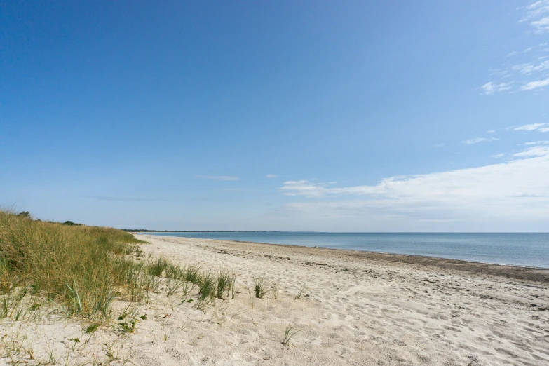 there is a sand and grass covered beach