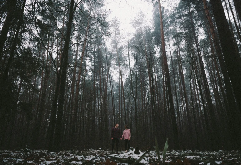 a couple of people that are walking in the woods