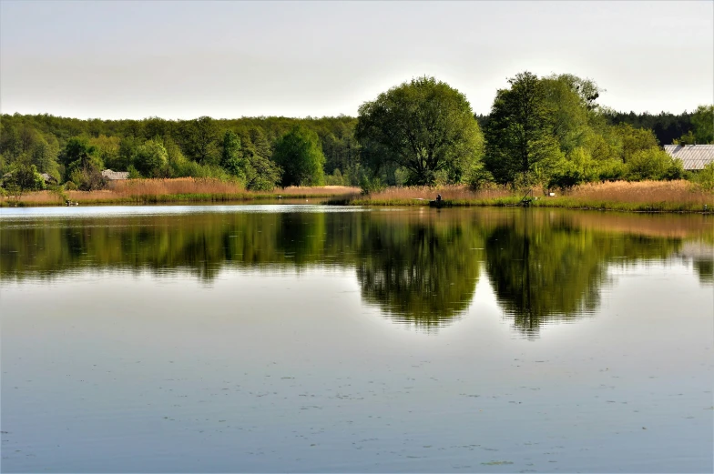 trees reflect off the still water of this calm lake