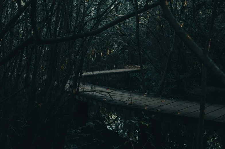 a dark and shadowy wood walkway in the middle of a forest