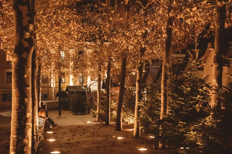 some trees lights bushes and buildings