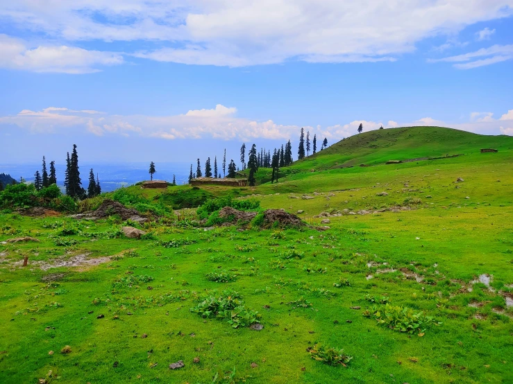 this green hillside is under a bright blue sky