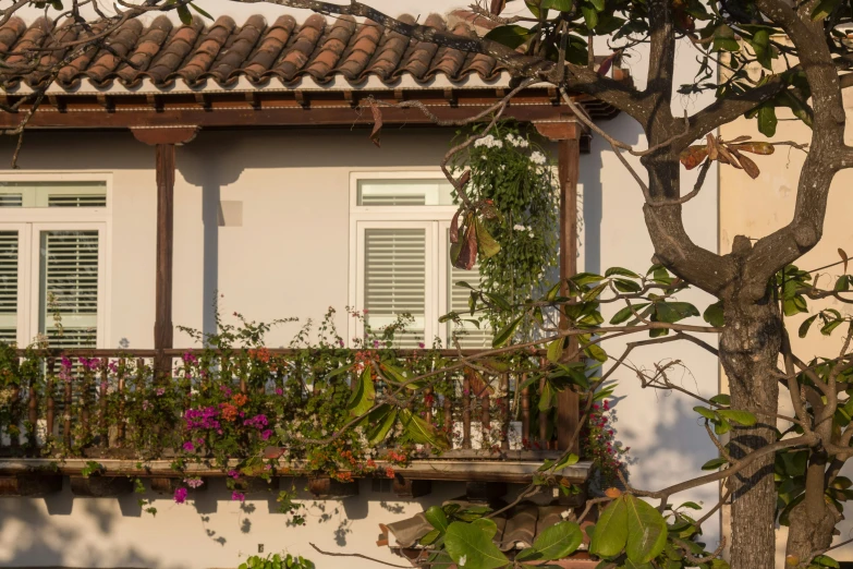 a house with lots of plants growing on the porch