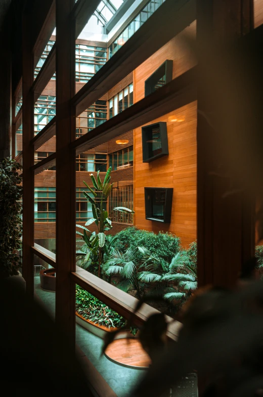 a view of some trees and bushes through the glass